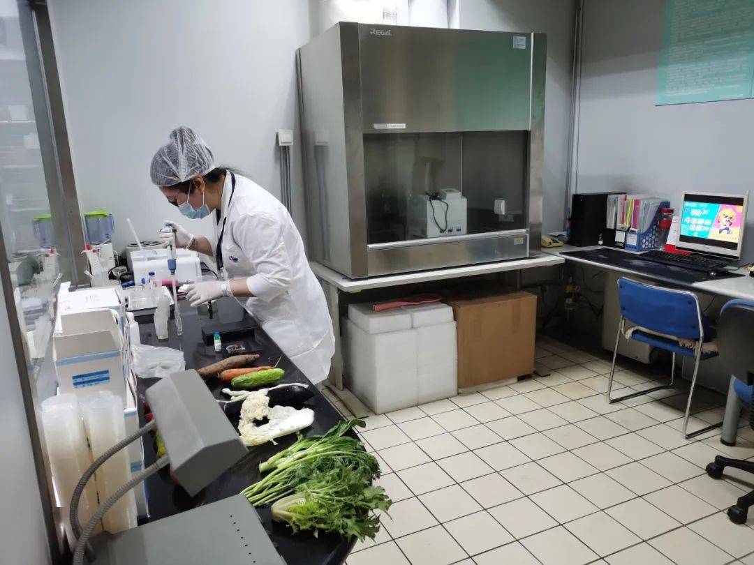 惠州食品检测实验室装修方案